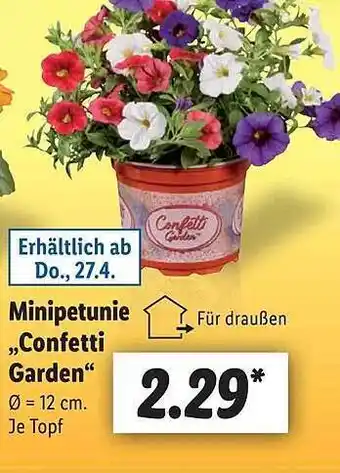 Lidl Minipetunie „confetti garden” Angebot