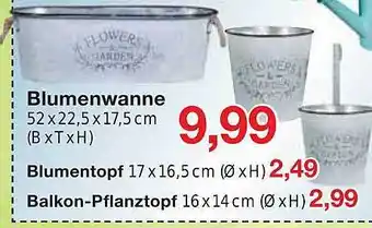 Jawoll Blumenwanne oder blumentopf oder balkon-pflanztopf Angebot