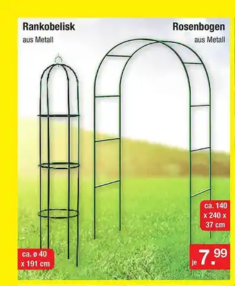 Zimmermann Rankobelisk oder rosenbogen Angebot