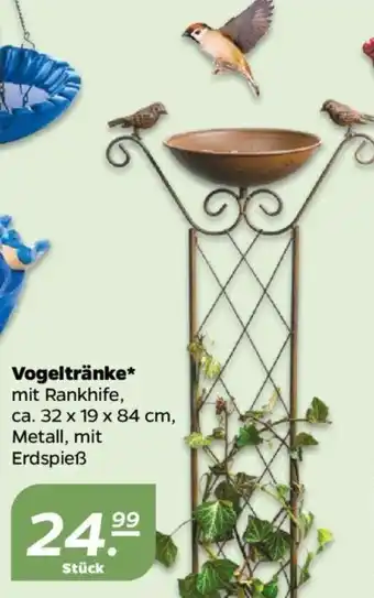 NETTO Vogeltränke Angebot