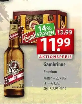 Marktkauf Gambrinus Premium Angebot