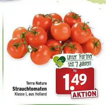 Wasgau Terra Natura Strauchtomaten Angebot