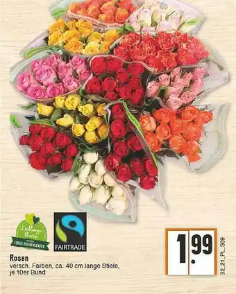 E-Center Rosen Fairtrade Angebot