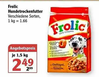 Globus Frolic Hundetrockenfutter Angebot