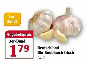 Globus Deutschland Bio Knoblauch Frisch Angebot