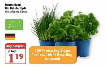 Globus Deutschland Bio Kräutertöpfe Angebot