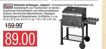 Marktkauf Activa Barbecue Holzkohle-grillwagen „angular” Angebot