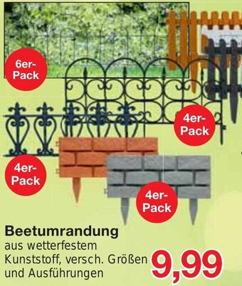Jawoll Beetumrandung Angebot