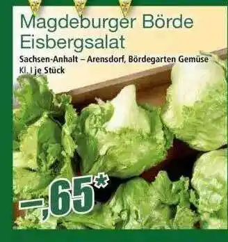 Norma Magdeburger Börde Eisbergsalat Angebot