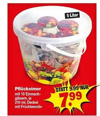 Repo Markt Pflückeimer Angebot