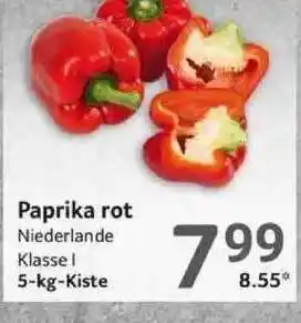 Selgros Paprika Rot Angebot