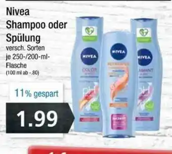 Edeka Frischemarkt Nivea Shampoo Oder Spülung Angebot