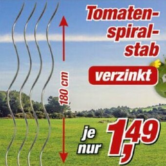 Posten Börse Tomatenspiralstab Angebot