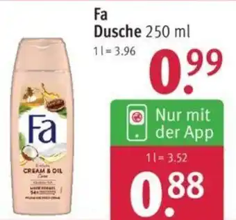 Rossmann Fa Dusche 250 ml Angebot