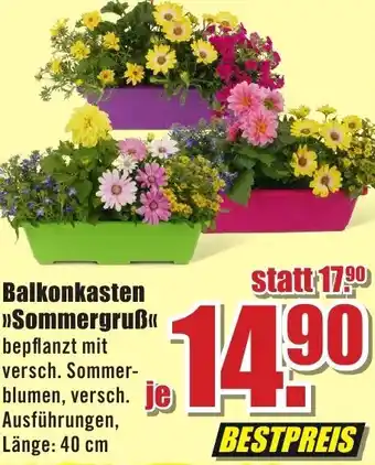 B1 Discount Baumarkt Balkonkasten >>Sommergruß« Angebot