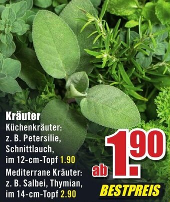 B1 Discount Baumarkt Kräuter Angebot