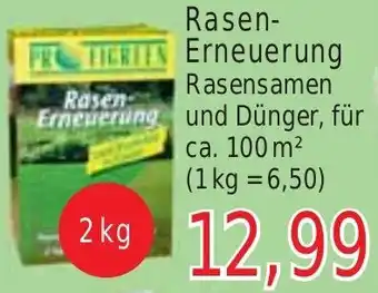 Wiglo Wunderland Rasen-Erneuerung 2 kg Angebot