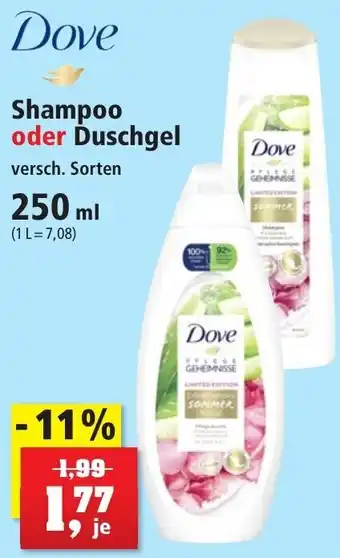 Thomas Philipps Dove Shampoo oder Duschgel 250 ml Angebot