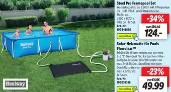 Lidl Bestway Steel Pro Framepool Set Angebot