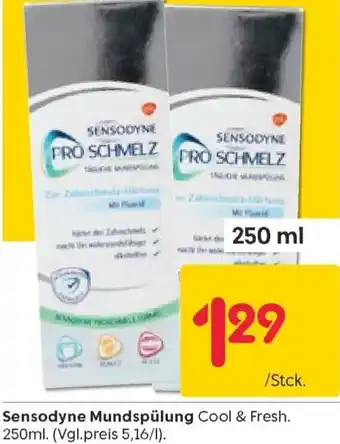 Rusta Sensodyne Mundspülung 250 ml Angebot