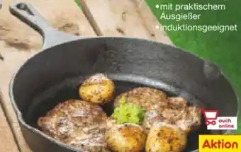 Netto Marken-Discount Gusseisen-pfanne Angebot