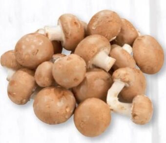 Nah & Frisch Kulturchampignons Angebot