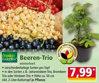 Norma FINEST GARDEN Beeren-Trio Angebot