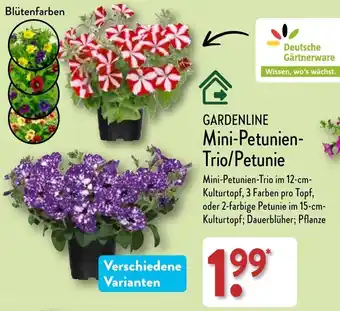 Aldi Nord GARDENLINE Mini-Petunien-Trio/Petunie Angebot