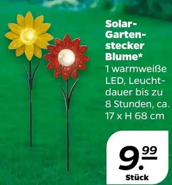 NETTO Solar-Gartenstecker Blume* Angebot