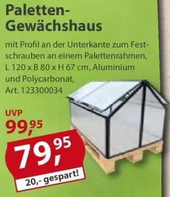 Sonderpreis Baumarkt Paletten-Gewächshaus Angebot