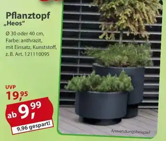 Sonderpreis Baumarkt Pflanztopf ,,Heos" Angebot