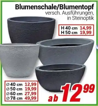 CENTERSHOP Blumenschale/Blumentopf Angebot