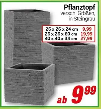 CENTERSHOP Pflanztopf Angebot