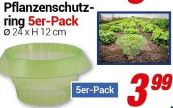 CENTERSHOP Pflanzenschutzring 5er-Pack Angebot