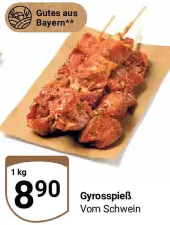 Globus Gyrosspieß 1 kg Angebot