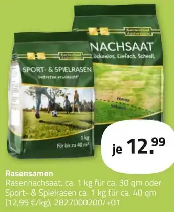 ROLLER Rasensamen Angebot