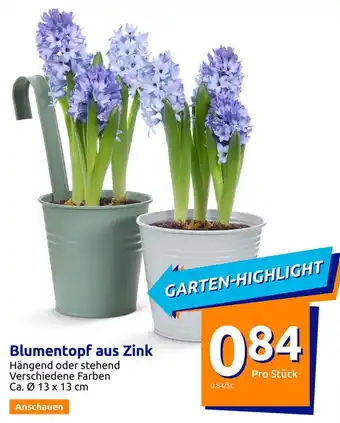 Action Blumentopf aus Zink Angebot