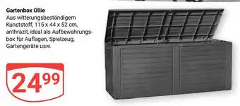 Globus Gartenbox Ollie Angebot