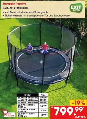 Netto Marken-Discount EXIT TOYS Trampolin PeakPro Angebot