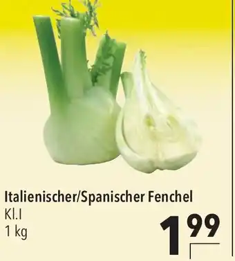 CITTI Markt Fenchel 1 kg Angebot