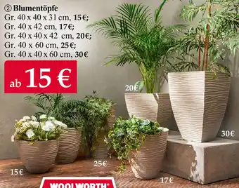 Woolworth Blumentöpfe Angebot