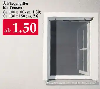 Woolworth Fliegengitter für Fenster Angebot