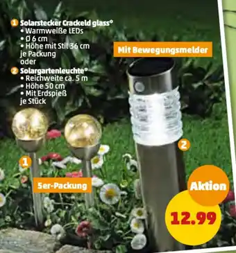 PENNY Solargartenleuchte* Angebot