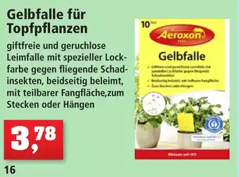 Thomas Philipps Aeroxon Gelbfalle für Topfpflanzen Angebot