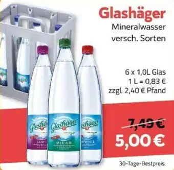 Getränkeland Glashäger Mineralwasser 6 x 1,0L Glas Angebot