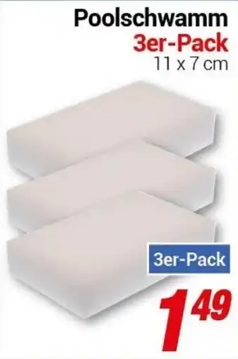 CENTERSHOP Poolschwamm 3er-Pack 11 x 7 cm Angebot