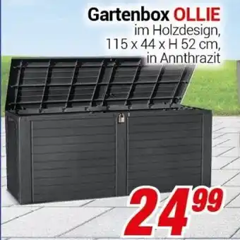 CENTERSHOP Gartenbox OLLIE 115 x 44 x H 52 cm Angebot