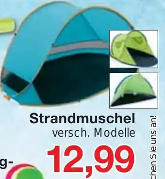 Jawoll Strandmuschel Angebot