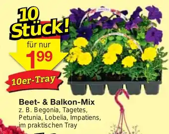 Jawoll Beet- & Balkon-Mix Angebot