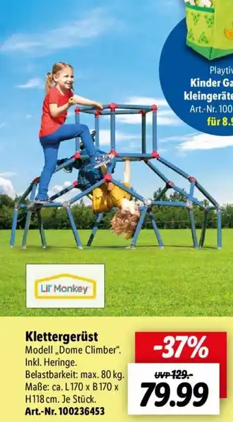 Lidl Lil' Monkey Klettergerüst ,,Dome Climber" Angebot